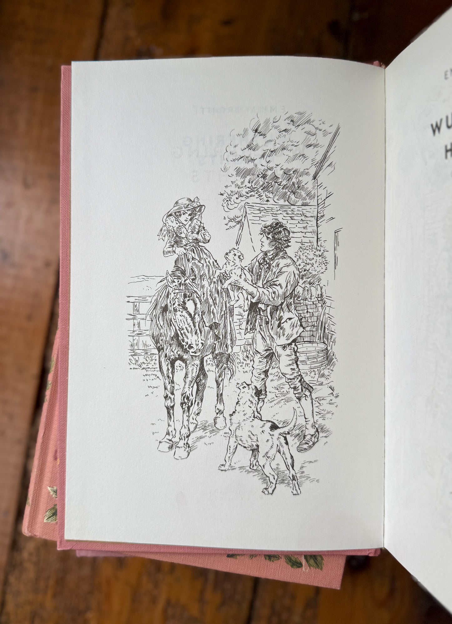 Wuthering Heights by Emily Brontë