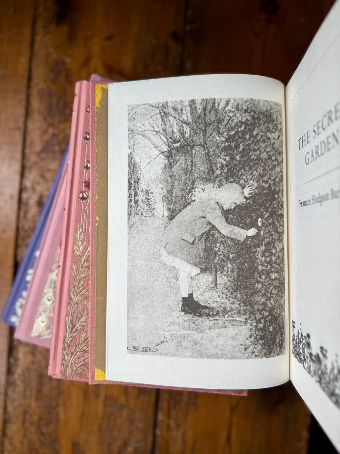 The Secret Garden by Frances Hodgson Burnett