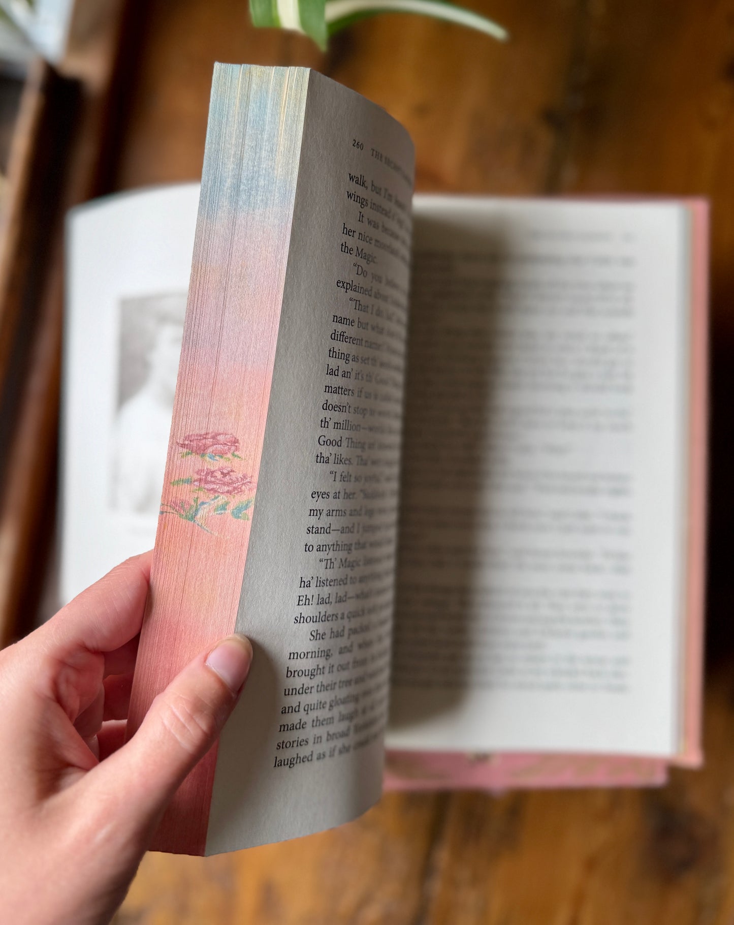 The Secret Garden by Frances Hodgson Burnett