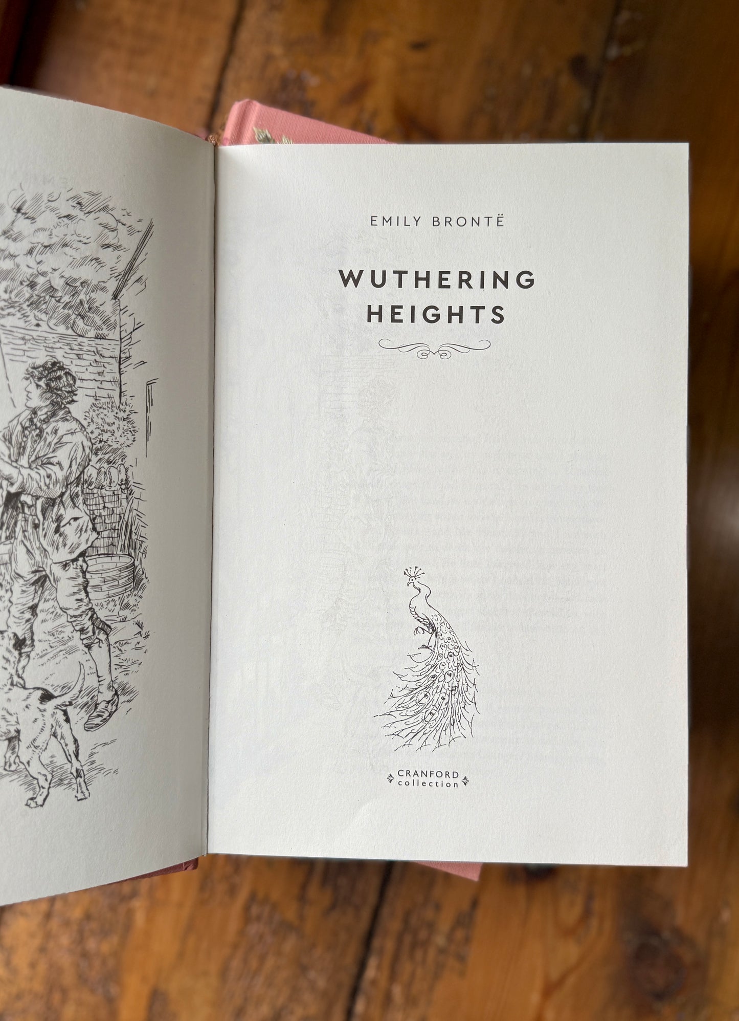 Wuthering Heights by Emily Brontë
