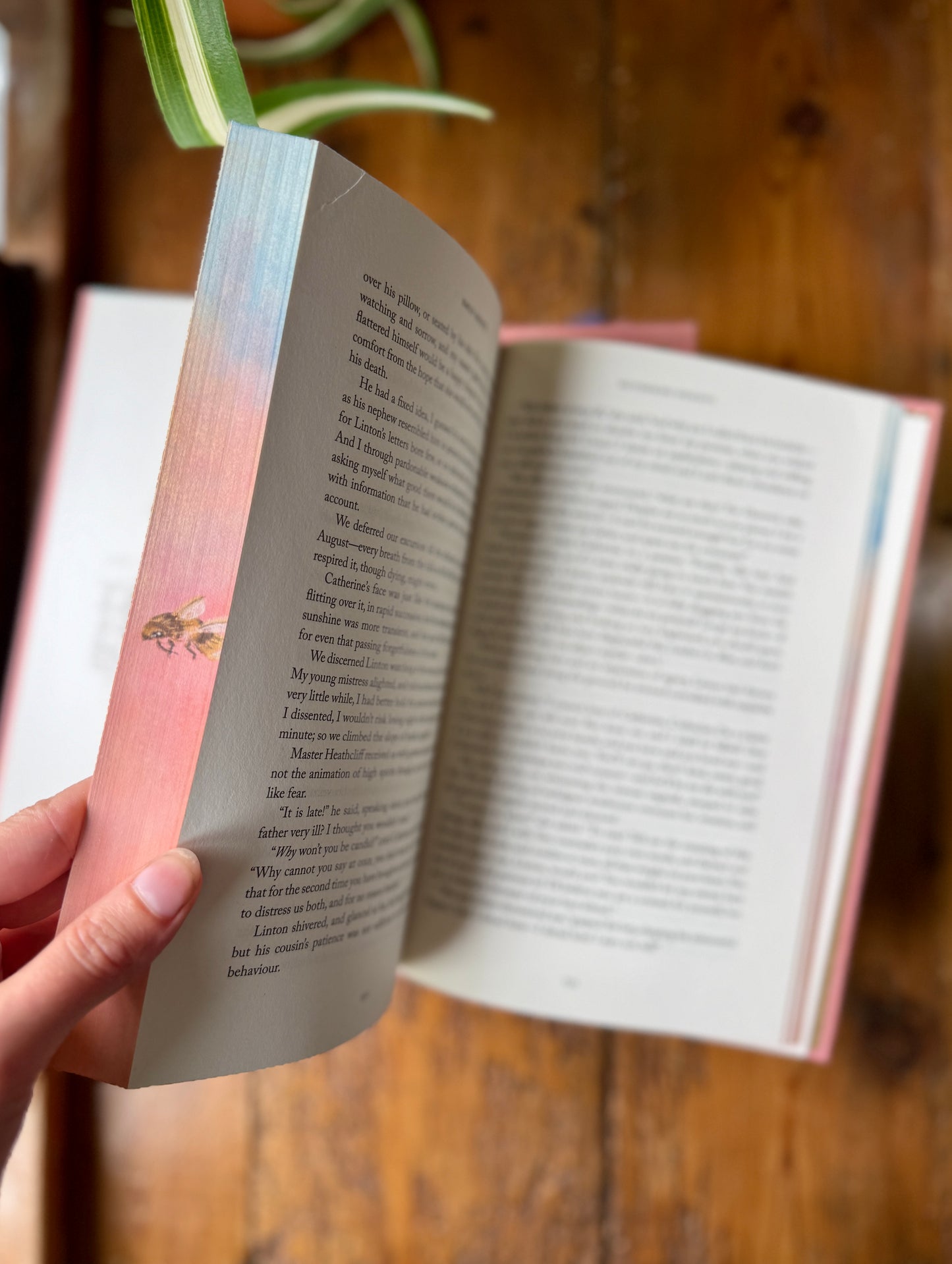 Wuthering Heights by Emily Brontë