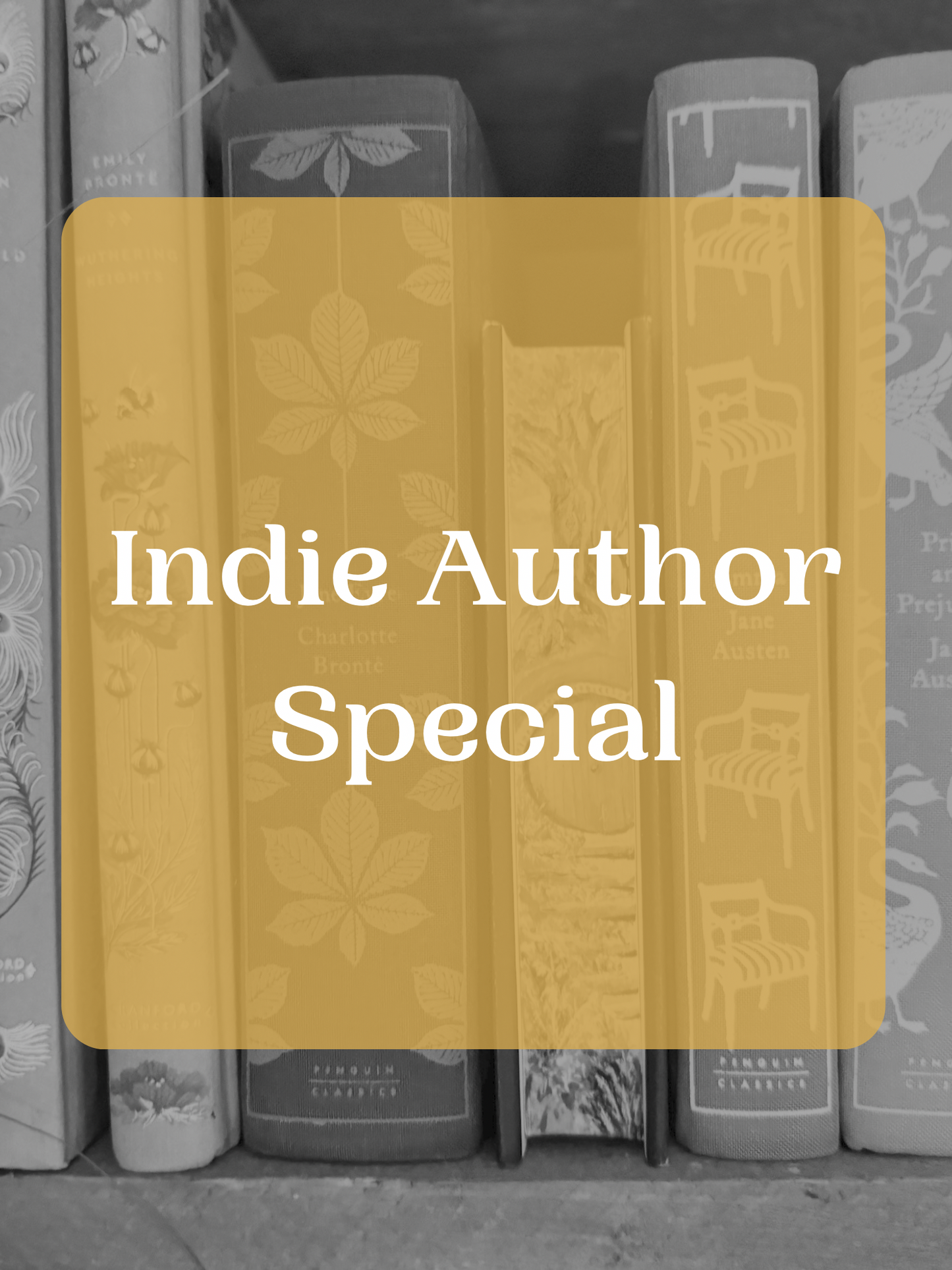 Indie Author Painting Service